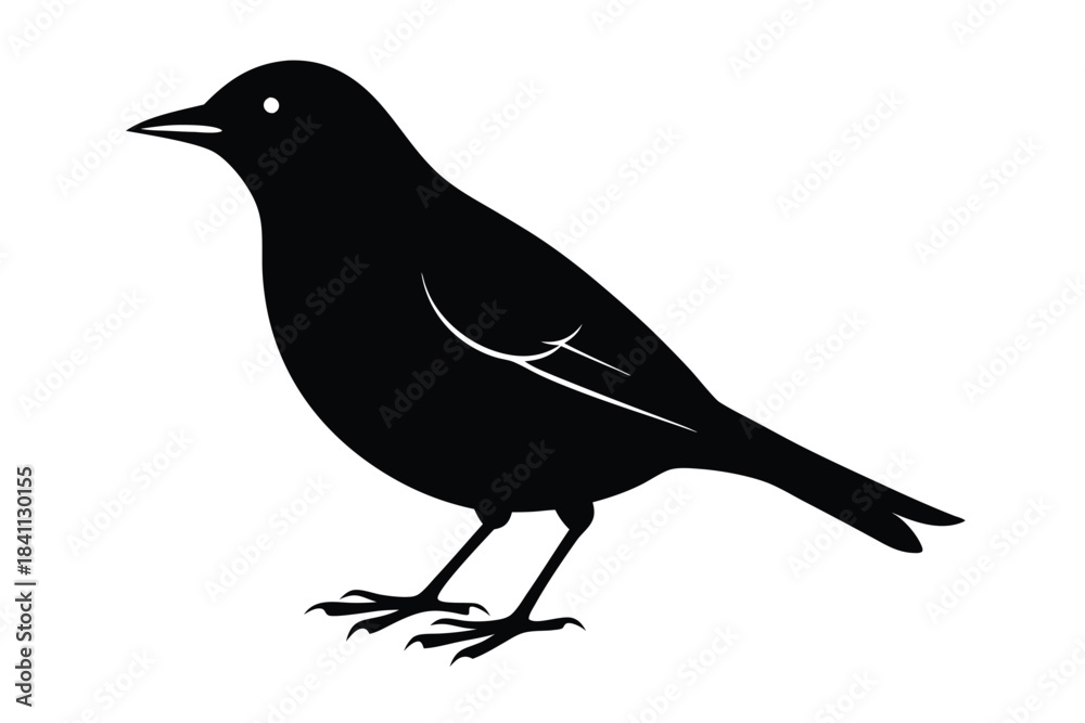 Obraz premium blackbird silhouette line art vector illustration with a white background