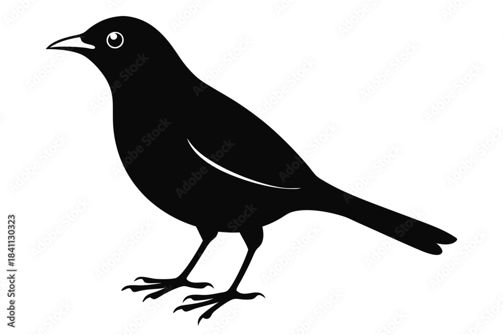 Obraz premium blackbird silhouette line art vector illustration with a white background