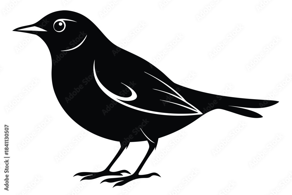 Obraz premium blackbird silhouette line art vector illustration with a white background