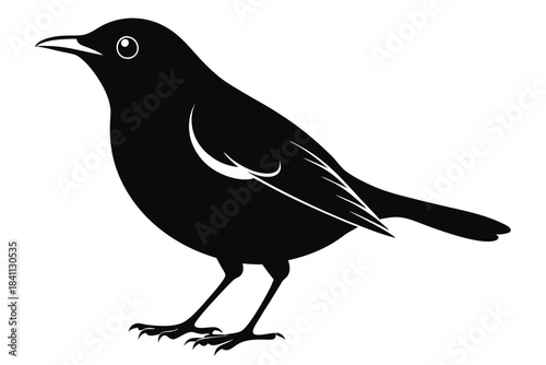 blackbird silhouette line art vector illustration with a white background