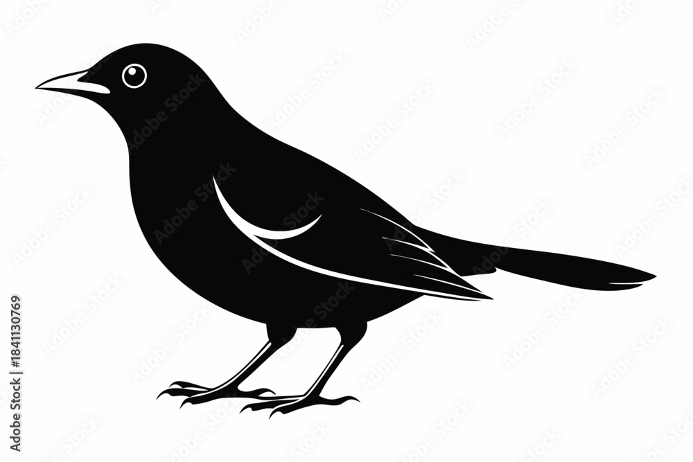 Obraz premium blackbird silhouette line art vector illustration with a white background