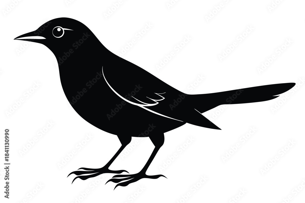 Obraz premium blackbird silhouette line art vector illustration with a white background