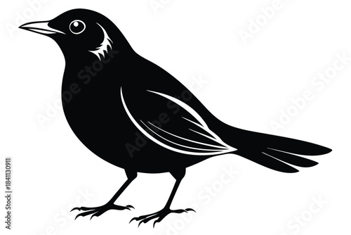 blackbird silhouette line art vector illustration with a white background
