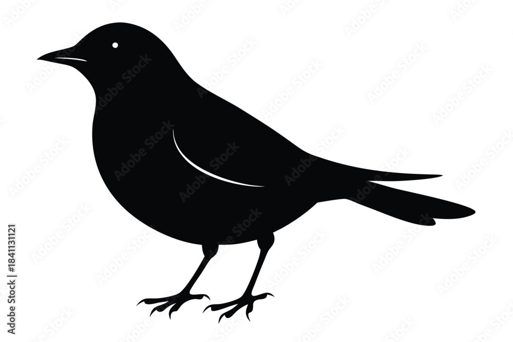 Obraz premium blackbird silhouette line art vector illustration with a white background