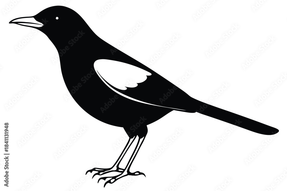 Obraz premium blackbird silhouette line art vector illustration with a white background
