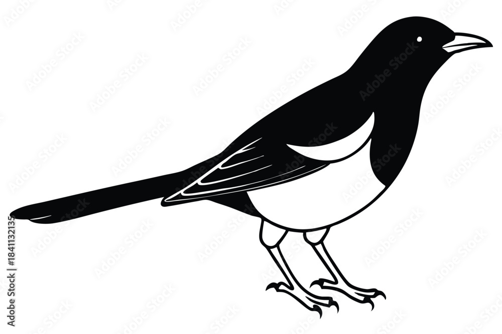 Obraz premium blackbird silhouette line art vector illustration with a white background