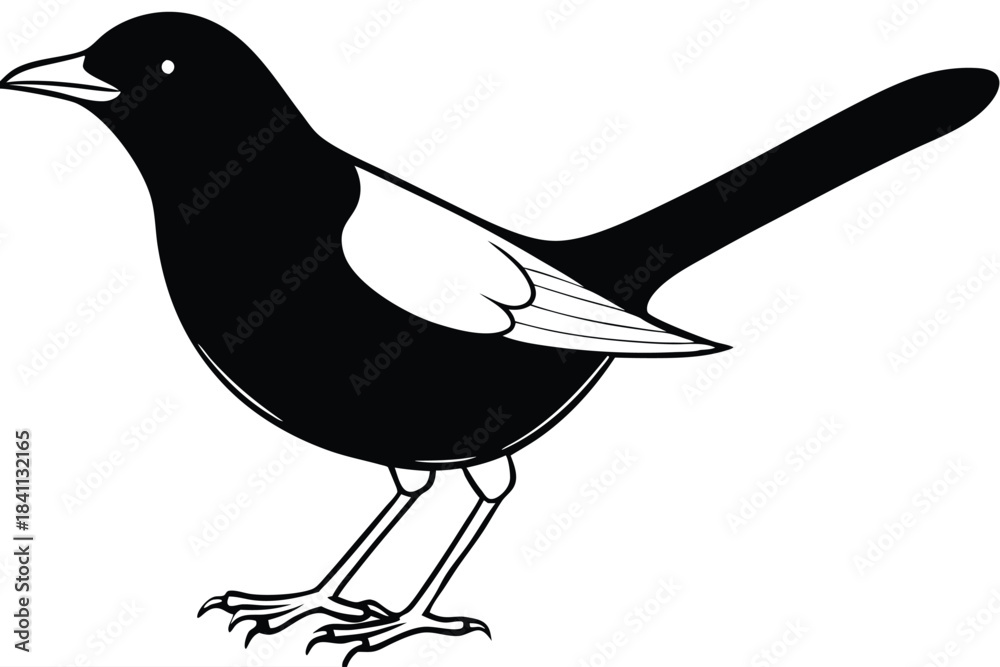 Obraz premium blackbird silhouette line art vector illustration with a white background