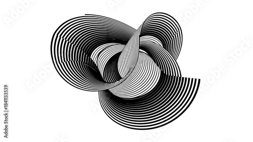Abstract black and white graphic art featuring intricate intertwined lines forming a complex three-dimensional shape.