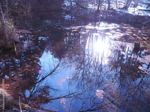 神の子池の夕暮れ時