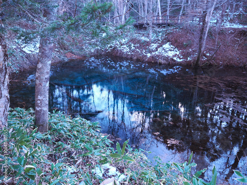 神の子池の夕暮れ時