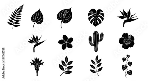 Exotic Plants Silhouette Vector Set Tropical Flora Illustrations for Creative Design
