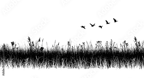 Silhouette of Grass and Birds Flying Overhead in a Minimalist Style Landscape on White Background