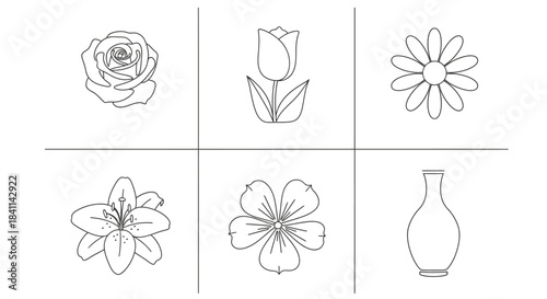 Elegant Floral Sketches Rose, Tulip, Daisy, Lily and Abstract Bloom Line Art for Springtime Decor