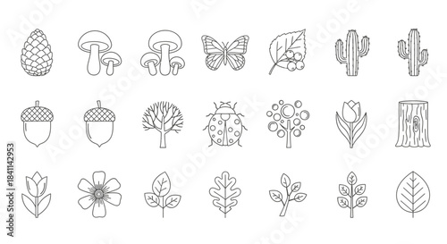 A collection of outline icons depicting various elements of nature, including plants, insects, and fungi, in a minimalist style.