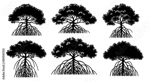 Six black silhouettes of mangrove trees with intricate root systems on a white background, showcasing their unique coastal adaptation.
