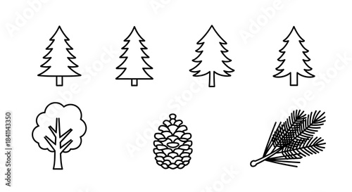Line art illustrations of various trees, a pine cone, and pine needles, depicting different types of foliage and natural elements.