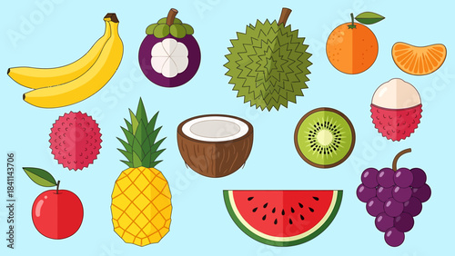 Collection of colorful fresh exotic tropical fruits on a light blue background