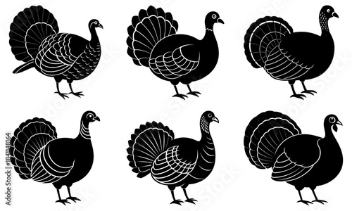 Six black and white turkey silhouettes with feathered tails on white background