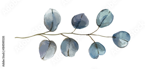 Watercolor eucalyptus leaf branch. Floristic design element, Hand drawn watercolor illustration. Floral print for postcards, greetings, wedding invitation cards, logo