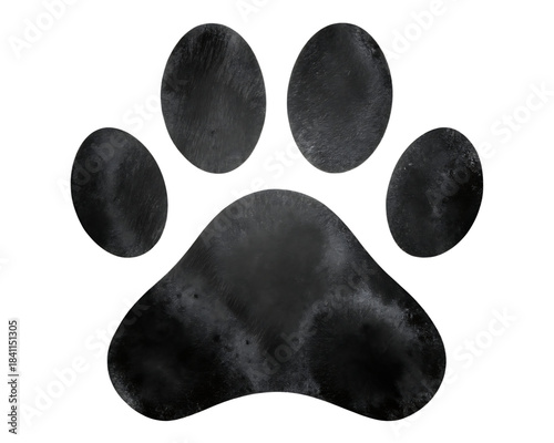 dog paw prints