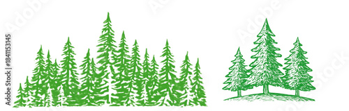 Stylized green pine trees in a forest silhouette against a black background
