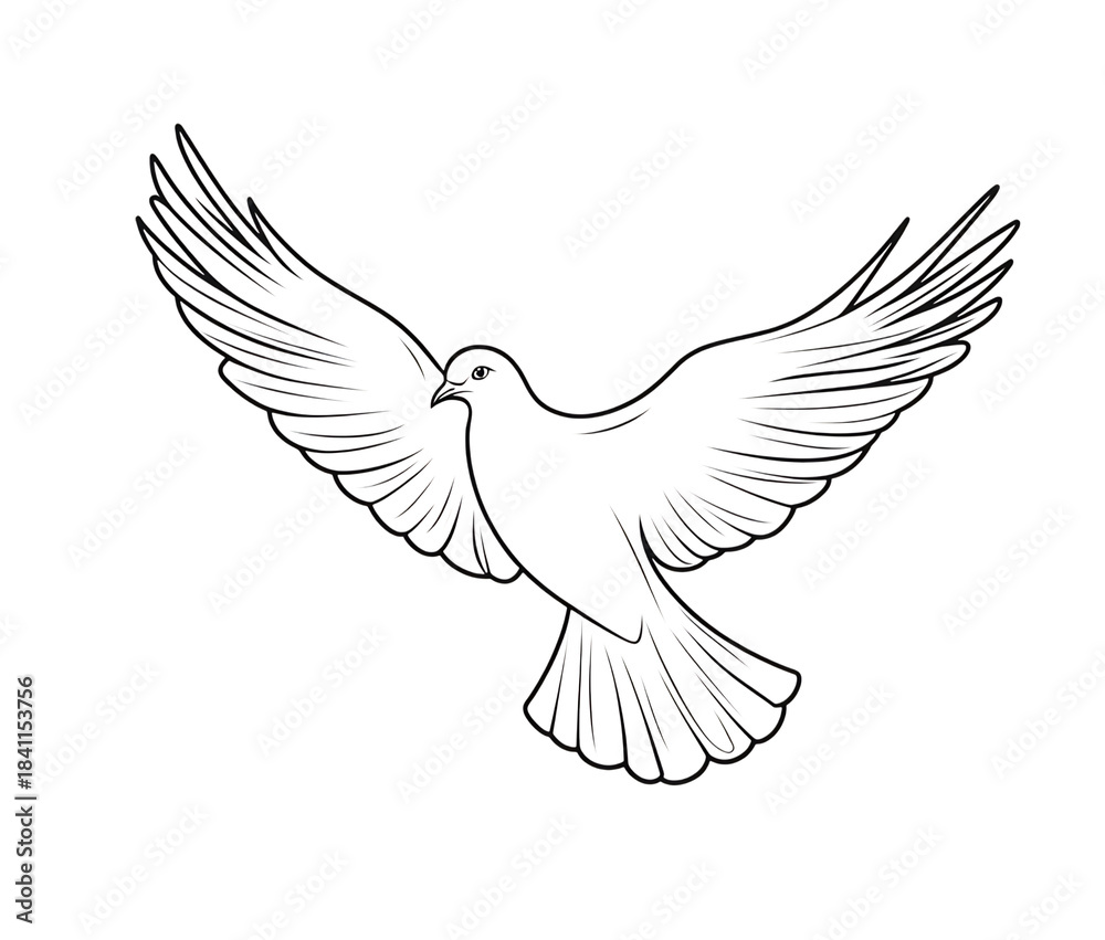 Fototapeta premium Graceful Dove in Flight