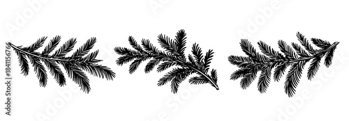 Christmas black tree branch set, hand drawn