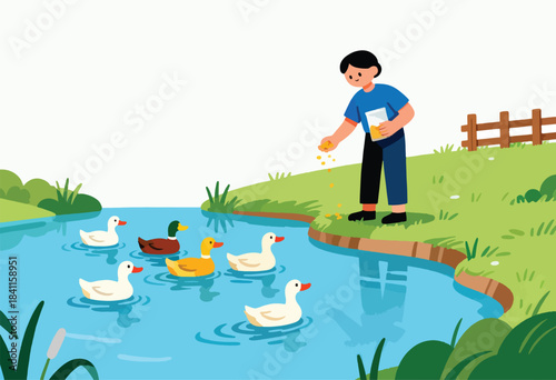 A person in a blue shirt feeds a flock of ducks in a pond near a small fence and green grass