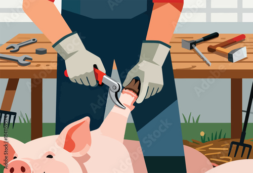 A stylized illustration depicting a pig's foot being trimmed with shears; tools and farm setting