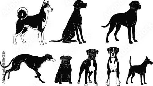 Black Silhouettes of Seven Different Dog Breeds: Husky, Pointer, Labrador, Greyhound, Pug, Boxer, and Doberman Pinscher, Flat Vector Illustration Graphics.