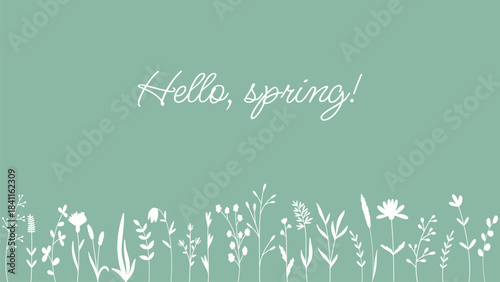 Hello, Spring. Horizontal banner with silhouettes of wildflowers and herbs. Template with botanical decor and greeting text. Vector graphics