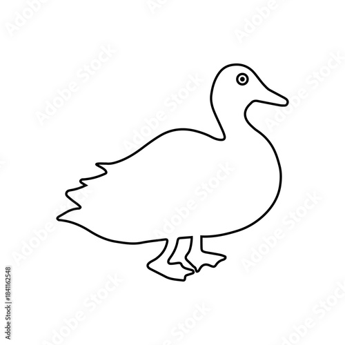 Loon icon vector set. Duck Illustration sign collection. bird symbol. fowl logo.