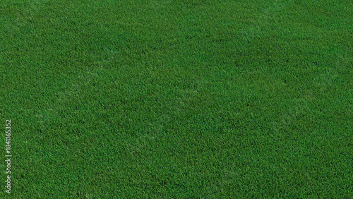 Green grass texture background. A perfectly manicured Sports field / Pitch / Garden Lawn wallpaper.  