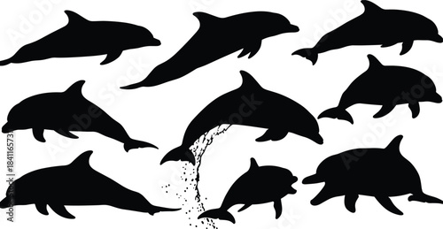 Set of playful dolphin silhouettes swimming, jumping, and leaping out of the water, featuring various marine mammal poses and an illustrative splash, isolated on white background.
