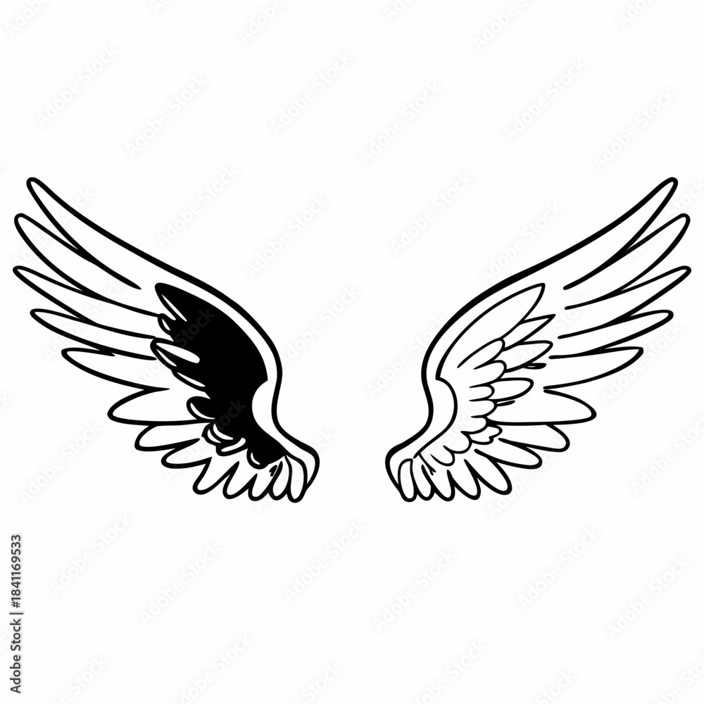 Obraz premium Asymmetrical Wings Design