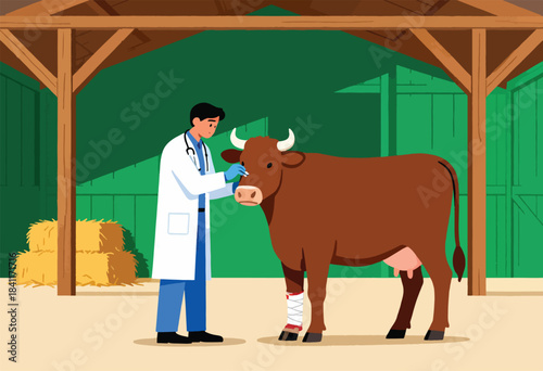 An illustration shows a vet examining a cow in a barn. The cow has a bandage on leg