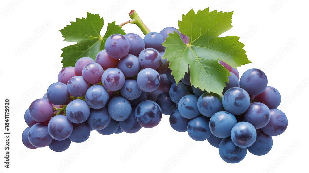 Obraz premium Two bunches of ripe blue and purple grapes with green leaves on a black background isolated on a transparent background