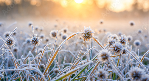 Otter swimming in a river while holding a fish in its mouth surrounded by water and rocks