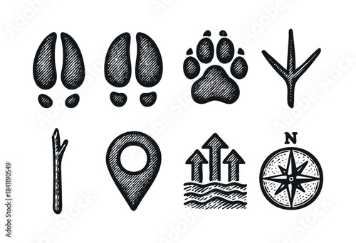 A collection of hand-drawn wilderness and outdoor activity icons, including animal tracks, a compass, and navigation symbols, presented in a vintage sketch style — stock vector.