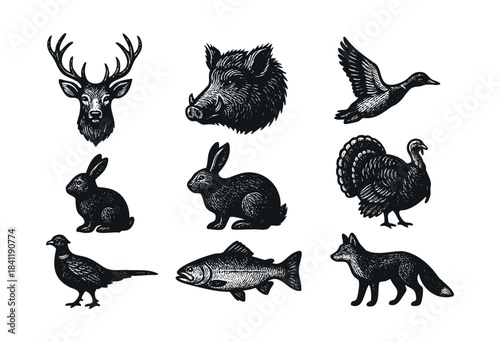 A collection of hand-drawn wild animals, including deer, wild boar, duck, rabbit, turkey, pheasant, fish, and fox, depicted in a classic vintage woodcut style — stock vector.
