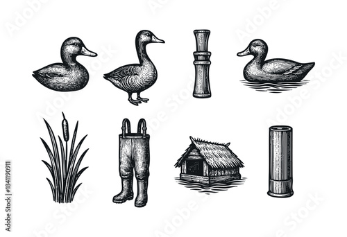 A collection of hand-drawn vintage-style illustrations depicting ducks, a duck call, waders, reeds, a hunting blind, and a shotgun shell, perfect for outdoor and sport themes — stock vector.
