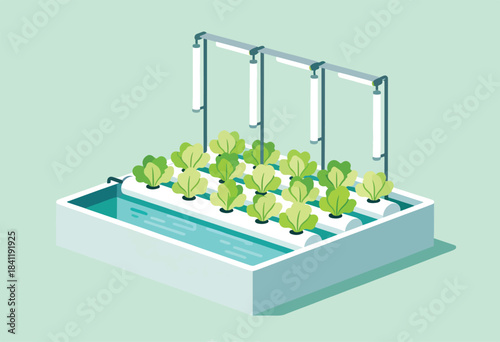 Illustration depicts a hydroponic system with green leafy plants growing in water-filled channels under artificial lights
