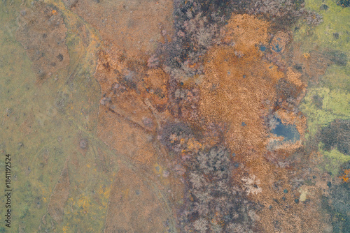 Vibrant orange wetland texture with dry reeds and dark water pools. Abstract autumn nature pattern in a conflict zone area - Shot from a drone
