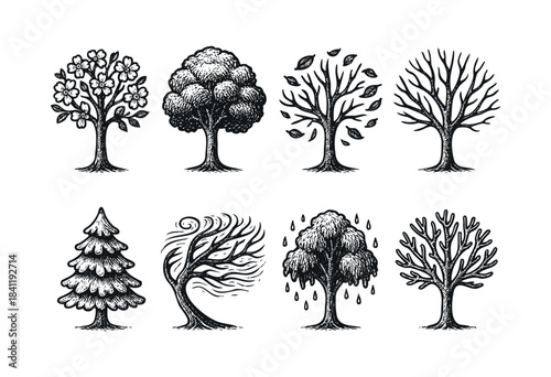 A collection of diverse hand-drawn trees, illustrating various seasons and natural elements in a rustic, vintage style — stock vector.