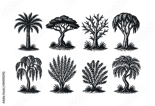 Collection of various hand-sketched trees and bushes, including palm and deciduous types, presented in a black and white woodcut style — stock vector.