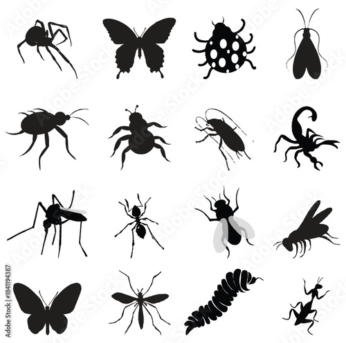 Vector Black Insect and Bug Silhouette Icons Set Collection