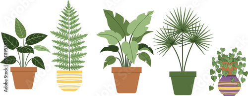 Five unique potted houseplants illustration, decorative indoor plant collection, botanical greenery art, home decor foliage design for stock use