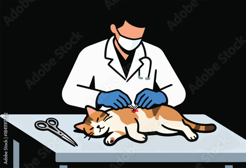 A vet in a lab coat and gloves examines a cat on a table with scissors nearby. The cat is calm
