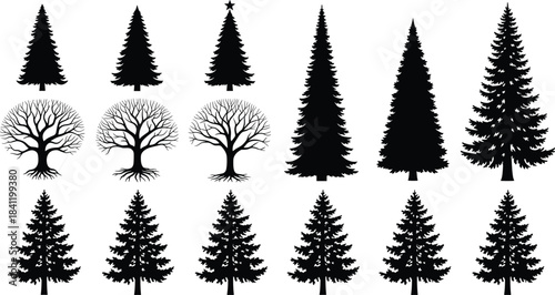 Silhouette tree collection with coniferous and deciduous shapes, black forest icons, seasonal nature graphic for stock illustration use
