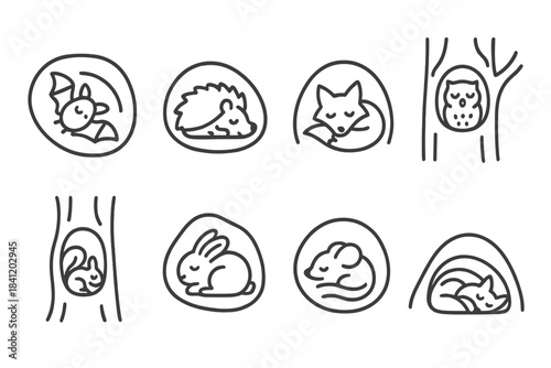 Various animal illustrations show creatures resting in different natural settings during nighttime hours